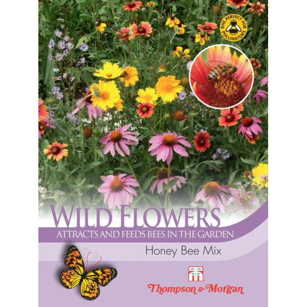 Wild Flower Honey Bee Flower Mix Seeds